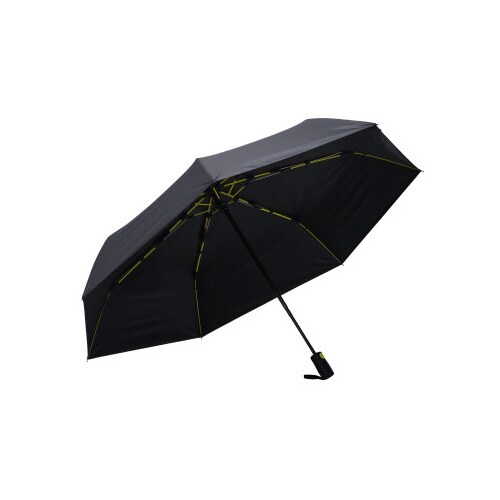 ストレングスミニAUTO EVO AW アッシュ