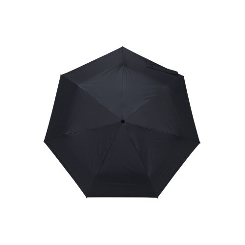 ストレングスミニAUTO EVO AW アッシュ