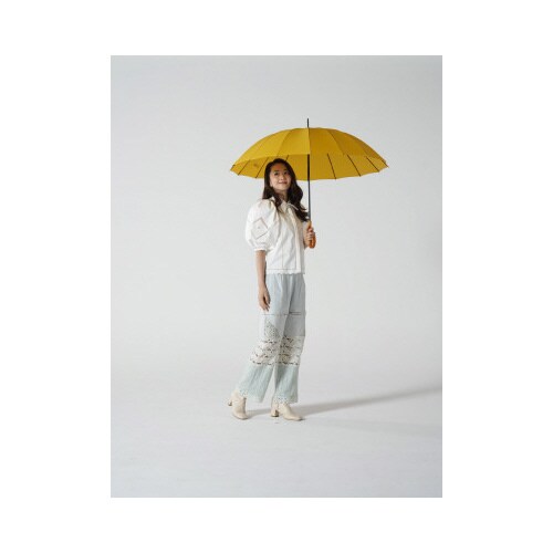 16本骨傘 江戸 山吹