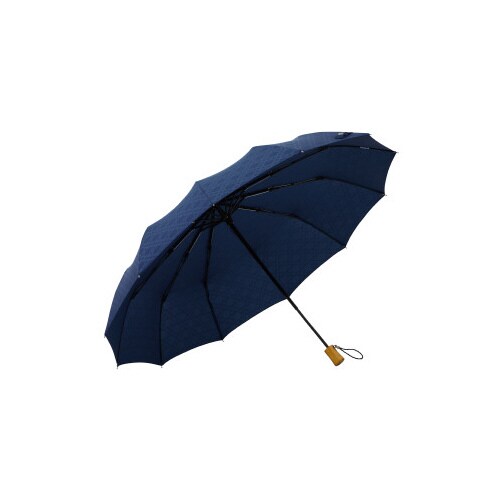 軽量12本骨折りたたみ傘 江戸 紺