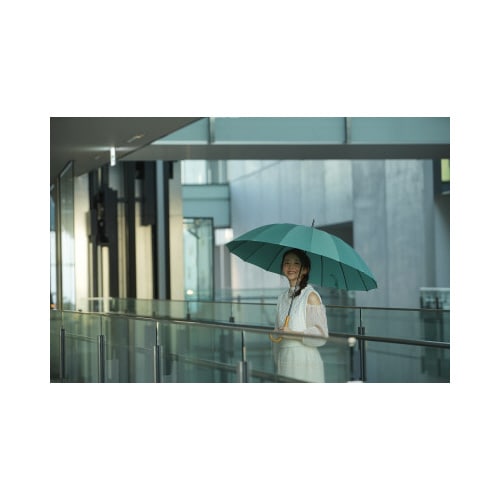 16本骨傘 江戸 浅葱