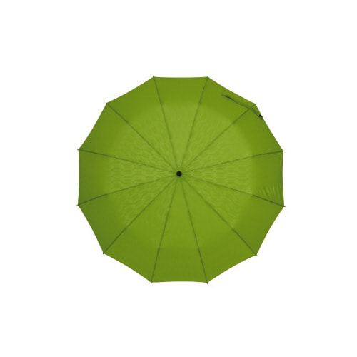 軽量12本骨折りたたみ傘 江戸 若草