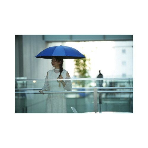 12本骨遮光ショート 江戸 紺青