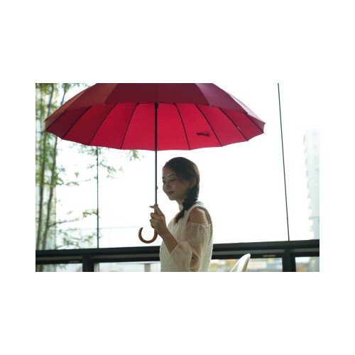16本骨傘 江戸 紅