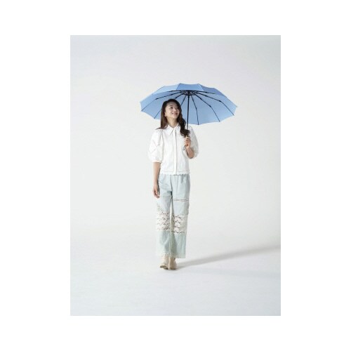 軽量12本骨折りたたみ傘 江戸 天青