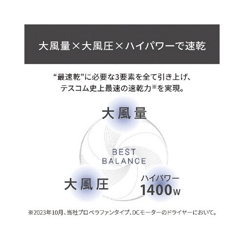 プロテクトイオンドライヤー ハイパワー 白