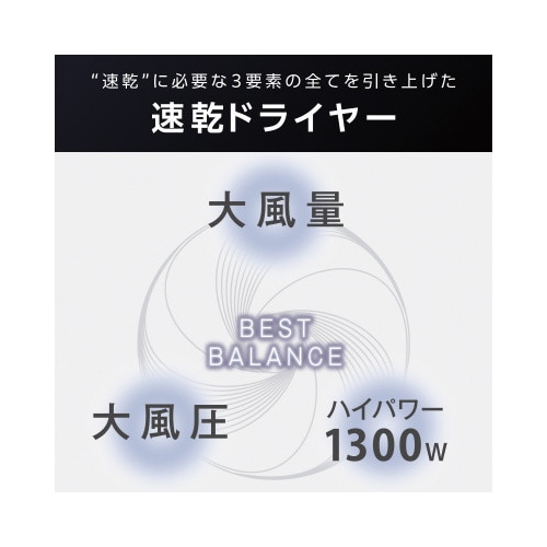 プロテクトイオンドライヤー 速乾 軽量 黒
