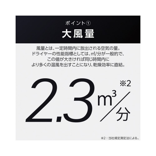 プロテクトイオンドライヤー 速乾 軽量 黒