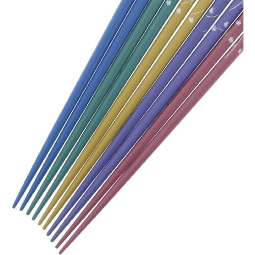 箸 乾漆楽園 5膳入×2