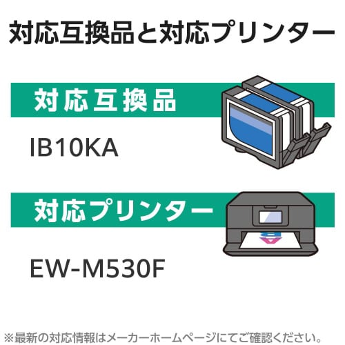 リサイクルインク IB10KA ブラック(顔料)