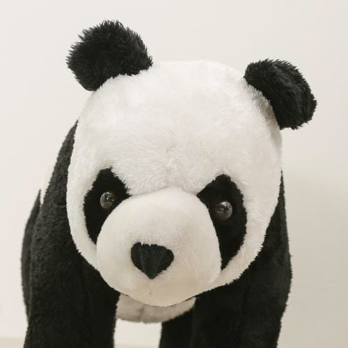 パンダ B3851−39(82479)