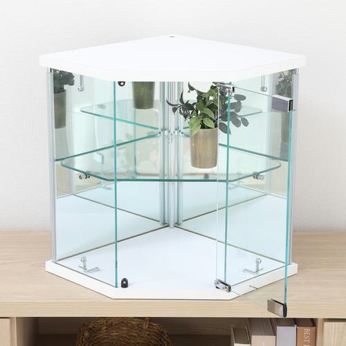 卓上ガラスコレクションケース コーナー WH