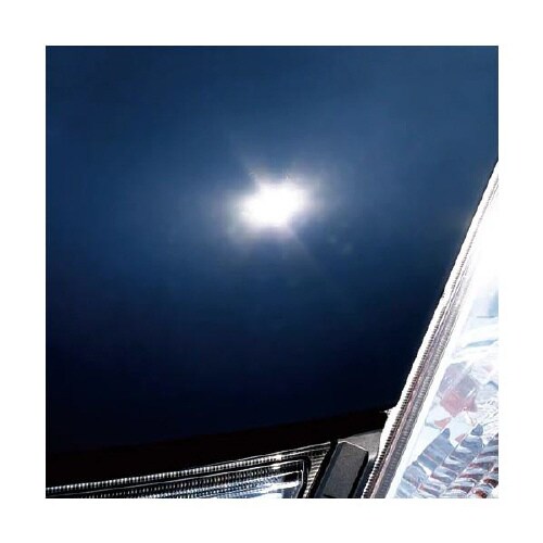 車まるごとワックスインシャンプー 2115