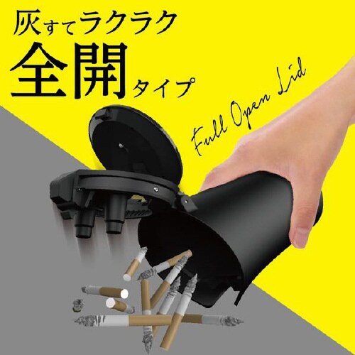 ソーラーライトアッシュ カラーマットブラック