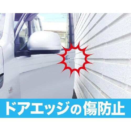 EXEAプロテクター ドアガードミニ クリア