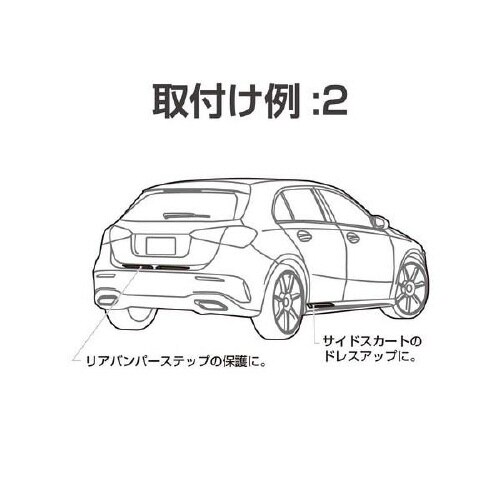 EXEAバンパープロテクター カーボン調