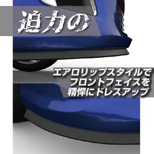 EXEAエアロリッププロテクター ブラック