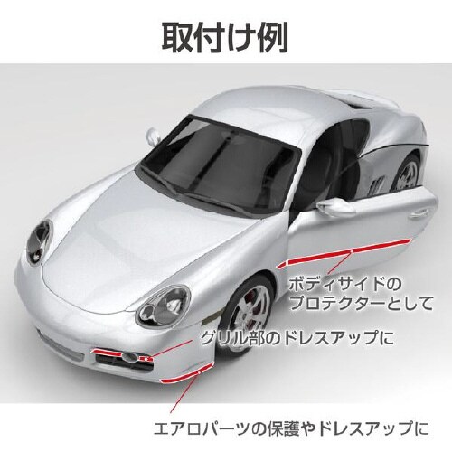 EXEAプロテクター トリムモール カーボン調