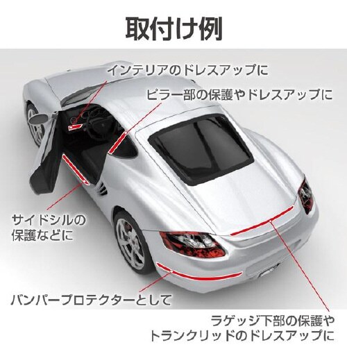 EXEAプロテクター トリムモール カーボン調