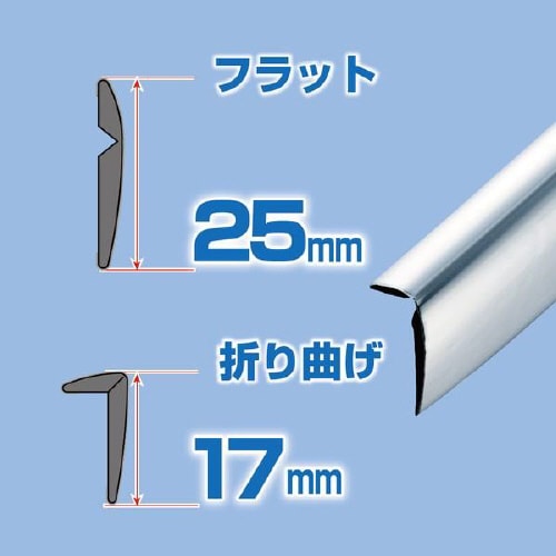 EXEAアクセントモール クロームメッキ調