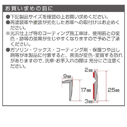 EXEAアクセントモール クロームメッキ調