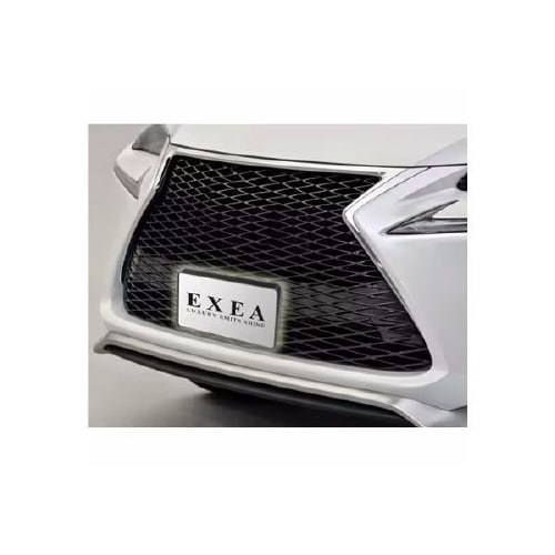 EXEAナンバーフレーム ナンバーベースブラック