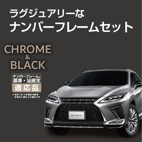 EXEAアクセントナンバーフレームセットシルバー