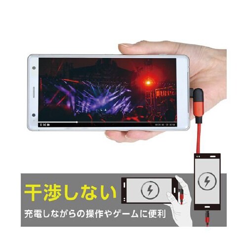 端子180度可動USBケーブル(L字) D608