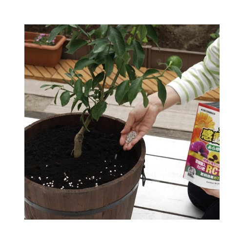 カダン感動肥料 あらゆる植物用 500G×16