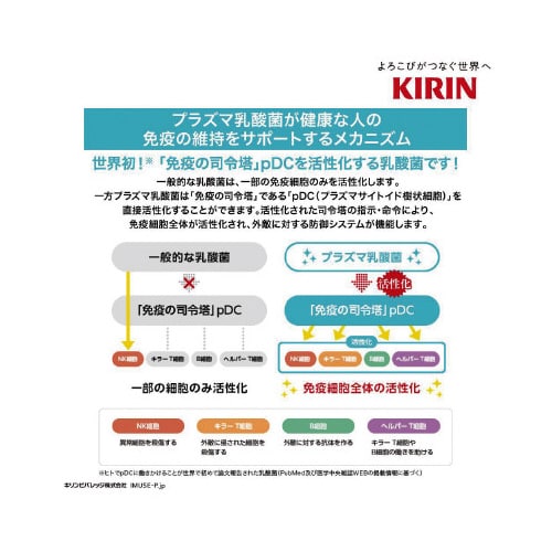 イミューズ オフ・ホワイト 500mlPET24本
