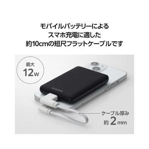 iPhone充電ケーブル 0.1m L字 白