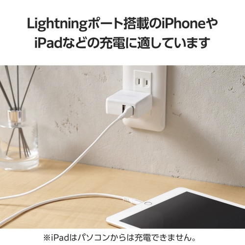 iPhone充電ケーブル 2m ホワイト