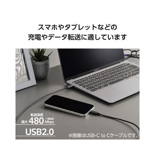 タイプCケーブル 2本 A−C/C−C 2m 黒