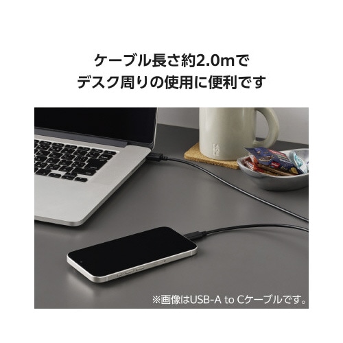 タイプCケーブル 2本 A−C/C−C 2m 黒