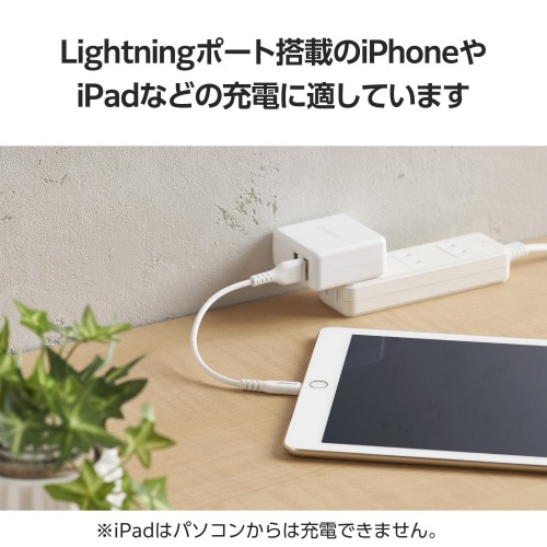 iPhone充電ケーブル 短い 0.1m ホワイト