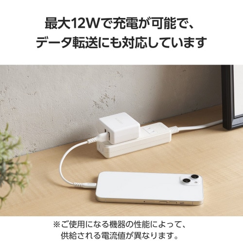 iPhone充電ケーブル 短い 0.1m ホワイト