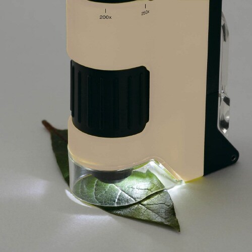 ハンディ顕微鏡 DX RXT1144J (2個入)