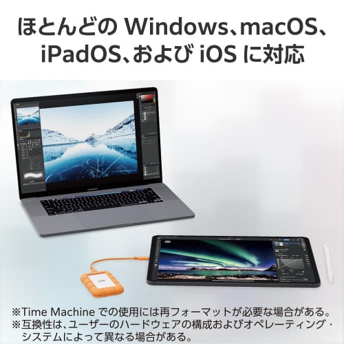 LaCieRuggedmini SSD 500GB