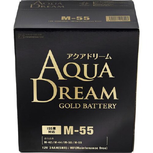 GOLD BATTERY ISS車用