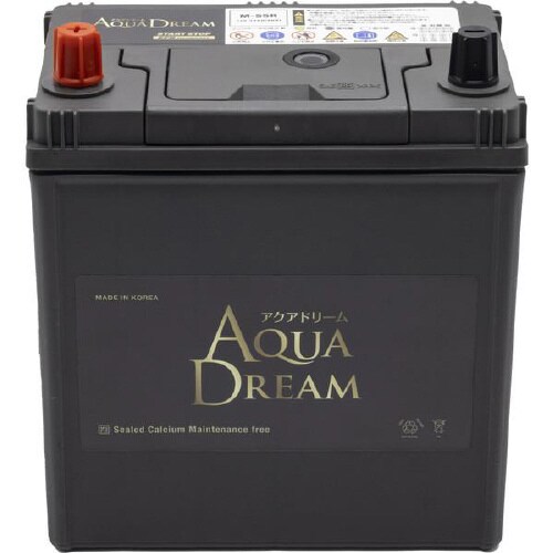 GOLD BATTERY ISS車用