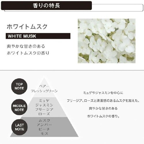 ルーノ噴霧式ディフューザー専用 フレグランスオイル