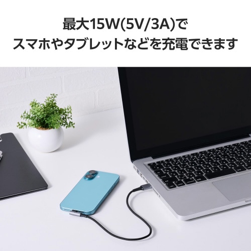 Type−Cケーブル(AtoC)0.3m L字 黒