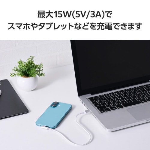 Type−Cケーブル(AtoC)0.3m L字 白