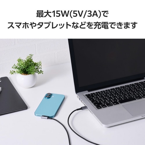 Type−Cケーブル(AtoC)1m L字 黒