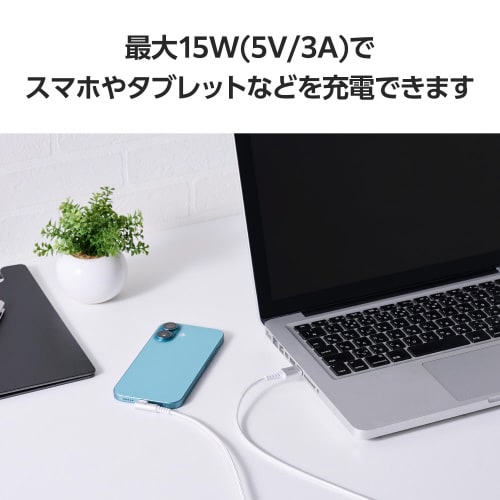 Type−Cケーブル(AtoC)1m L字 白