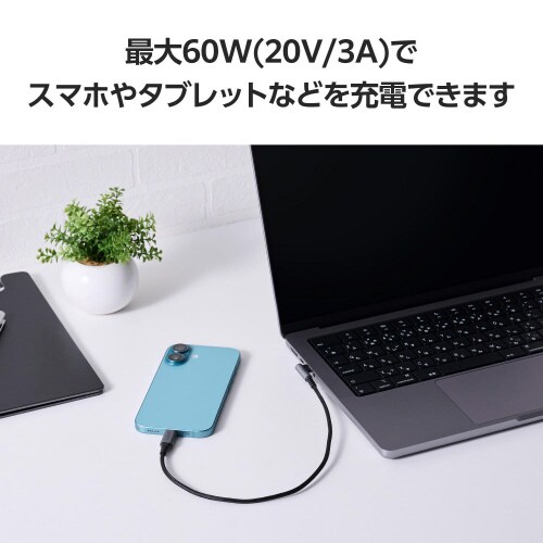 Type−Cケーブル(CtoC)0.3m L字 黒