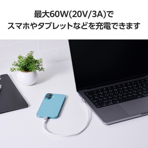 Type−Cケーブル(CtoC)0.3m L字 白