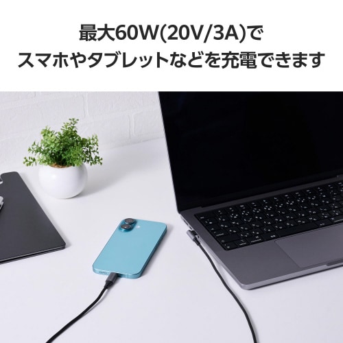 Type−Cケーブル(CtoC)2m L字 黒