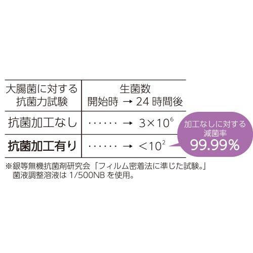 抗菌安全スノコ60×90