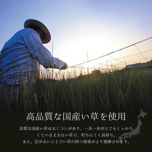 国産い草ラグ(裏貼り) 吉兆